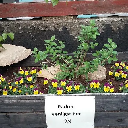Skovstjernen - Bed&garden * Nykøbing Sjælland